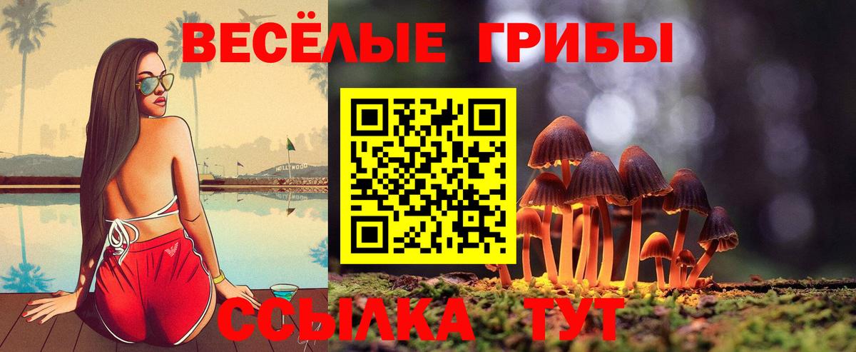 Псилоцибиновые грибы MAGIC MUSHROOMS  Вход с VPN  Псилоцибиновые грибы MAGIC MUSHROOMS  купить   Краснокаменск 